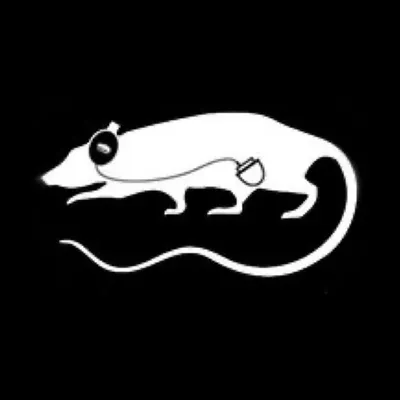 Rat Sound Systems Inc profile