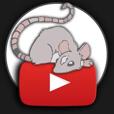 Ratzenbande profile