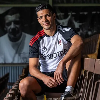 raulalonsojimenez9 profile