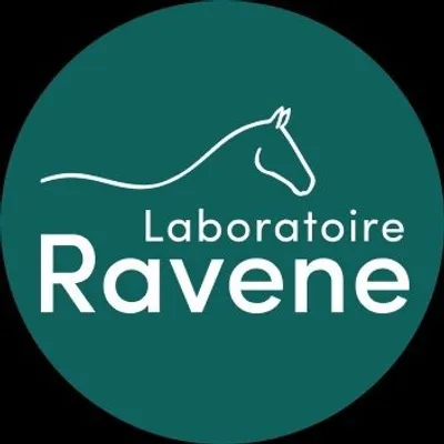 Équipe Ravene 💚 profile