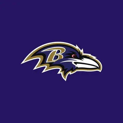Baltimore Ravens profile