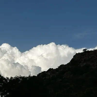 Prince Yadav profile