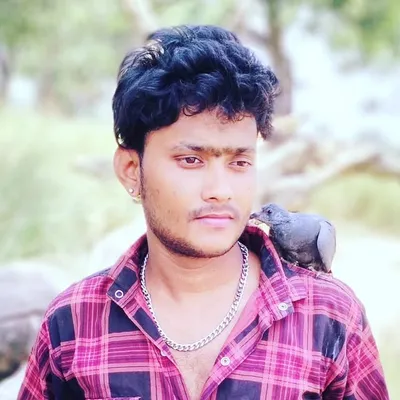 ravindra profile