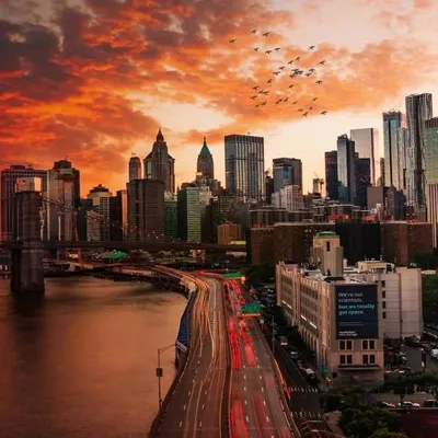 Phone Photography profile