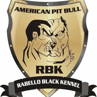 Rabello Black Kennel profile