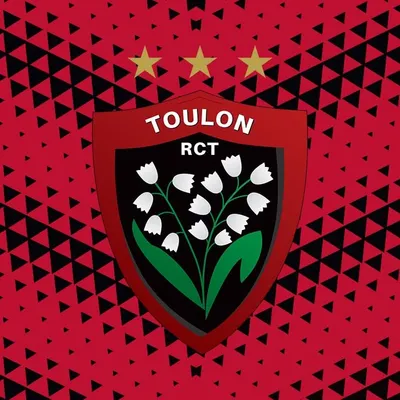 Rugby Club Toulonnais profile
