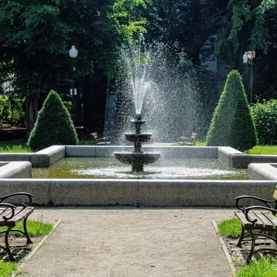 profile