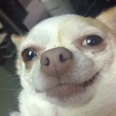 reaction memes profile