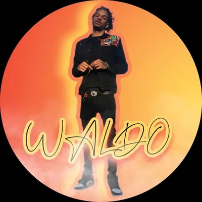 Only_1Waldo profile