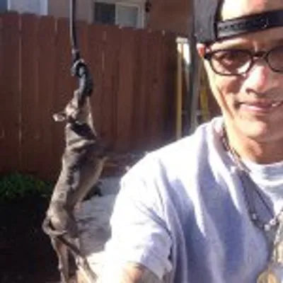 David Labrava profile