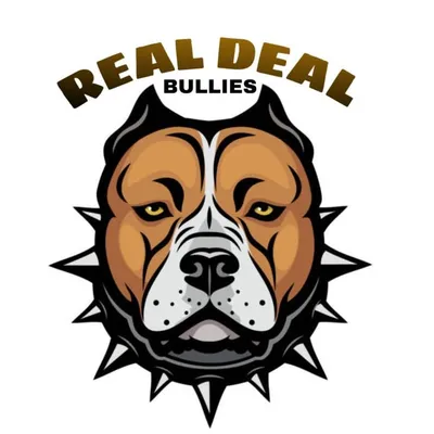 REAL DEAL BULLIES ๐ฅ profile