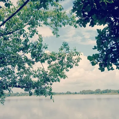 assam profile