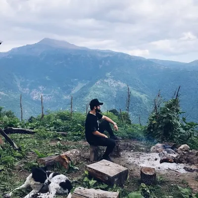 Mehrdad profile