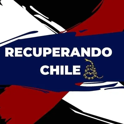 Recuperando Chile ๐ผ๐โญโ ๅโ profile