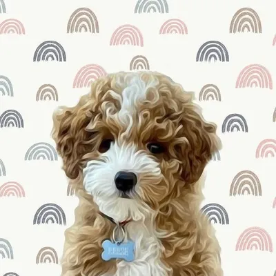 Reese Pitts🐶 profile