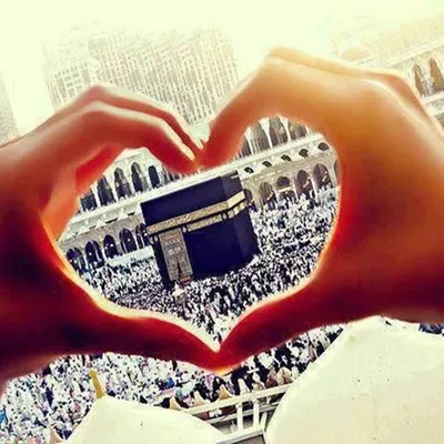 Refresh Your Imaan profile