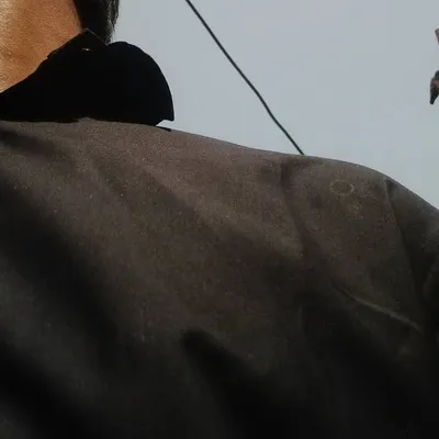 profile