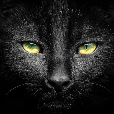 R£#@N ×£( profile