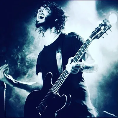 Reignwolf profile