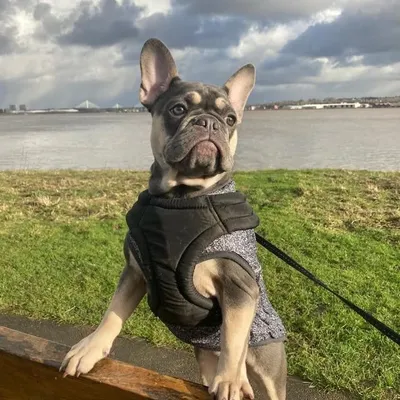 🐾Remi🐾 profile