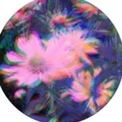 Rémi Barbier profile