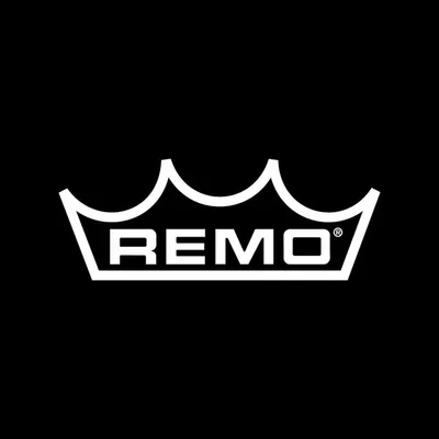 Remo Inc. profile