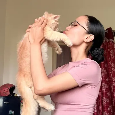 Lalbiiss S profile