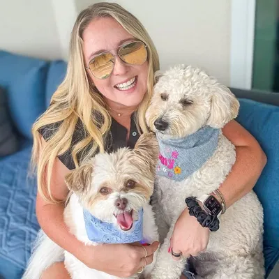 Remy Rose Goldendoodle | Content Creator profile