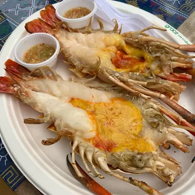 travel 🏖️vacation 🗽food profile