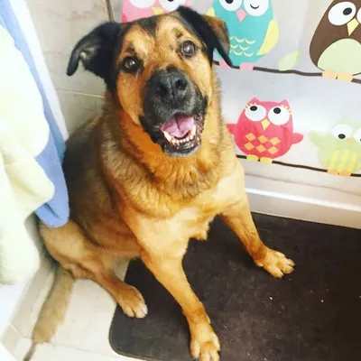 Reptar and Friends profile