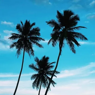 🇩🇴República Dominicana🇩🇴 Travel ~Food~ Lodging profile