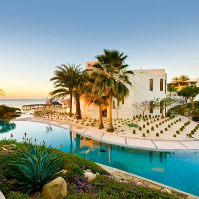 Travel • Hotels • Resorts profile