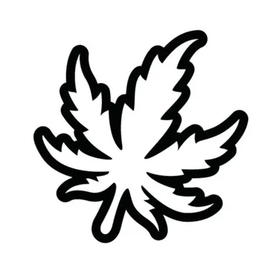 Revista THC profile