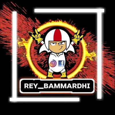 REY_BAMMARDHI profile