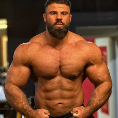 Reza Motamedi🇮🇷🇱🇧💯| ز 🔐❥ profile