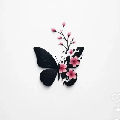 ๐๐ช๐๐๐ข๐ข๐๐ ๐๐๐๐๐จ ๐ profile