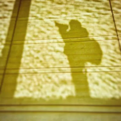 rinrin profile
