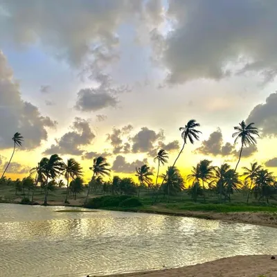 Rio Peracabu🏝 Barraca 🌴MD🌴 profile