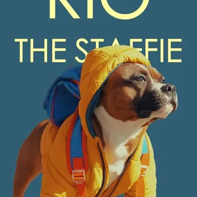 Rio The Staffie profile