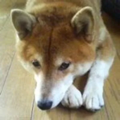 naokonta profile