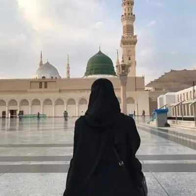 Quran JournalingI Surah Summaries profile
