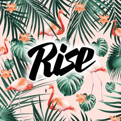 RISE : DAY PARTY profile