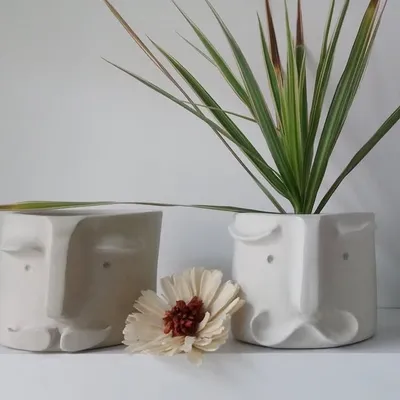 ๐ฑ Riviera Planters ๐ฑ profile