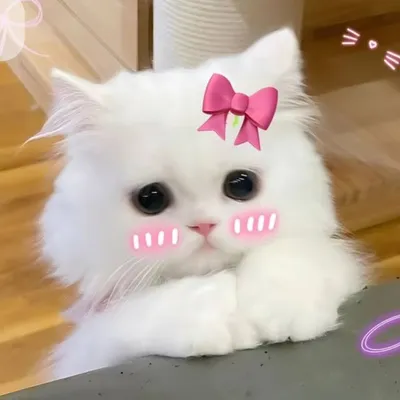 โก๐๐๐ฎ๐๐ฏ profile