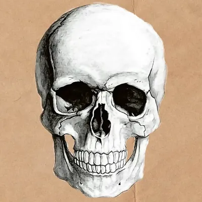 RIZLA_RECON profile