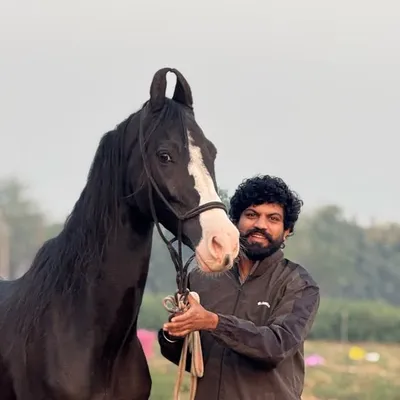 JAY SAKARIYA profile