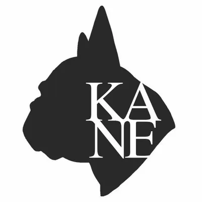 Robert Kane profile
