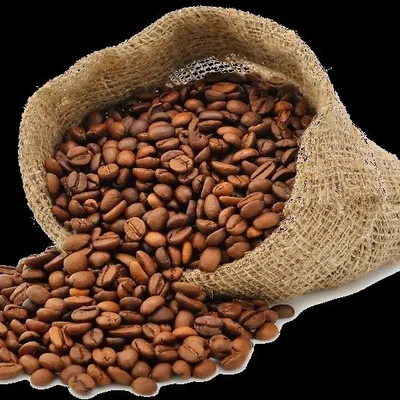 Roast From Home profile