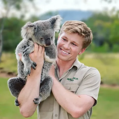 Robert Irwin profile