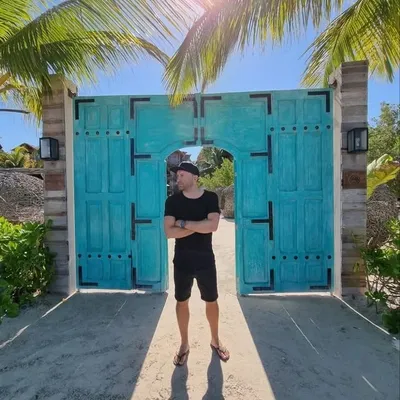 Robin Accentor profile